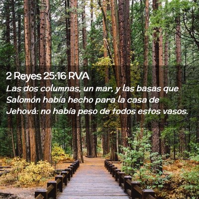 Picture 02 - 2 Reyes 25:16 RVA - Las dos columnas, un mar, y las basas que - Bible Verse Picture