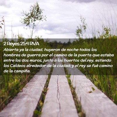 Picture 02 - 2 Reyes 25:4 RVA - Abierta ya la ciudad, huyeron de noche todos los - Bible Verse Picture