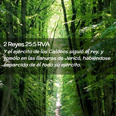 Picture 02 - 2 Reyes 25:5 RVA - Y el ejército de los Caldeos siguió al rey, y - Bible Verse Picture