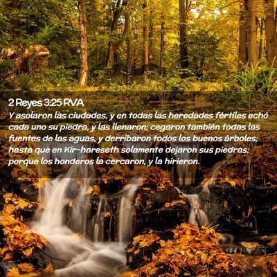 Picture 02 - 2 Reyes 3:25 RVA - Y asolaron las ciudades, y en todas las heredades - Bible Verse Picture