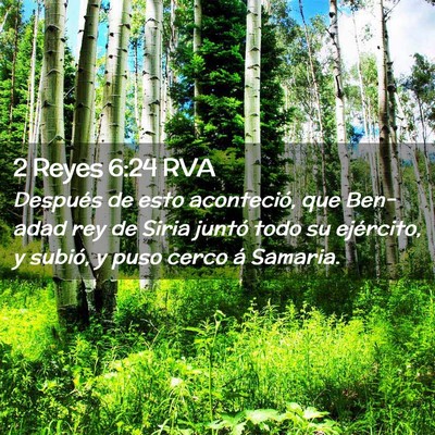 Picture 02 - 2 Reyes 6:24 RVA - Después de esto aconteció, que Ben-adad rey de - Bible Verse Picture