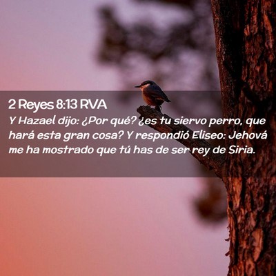 Picture 02 - 2 Reyes 8:13 RVA - Y Hazael dijo: ¿Por qué? ¿es tu siervo perro, - Bible Verse Picture