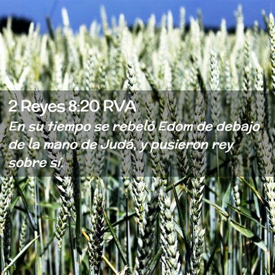 Picture 02 - 2 Reyes 8:20 RVA - En su tiempo se rebeló Edom de debajo de la mano - Bible Verse Picture