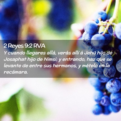 Picture 02 - 2 Reyes 9:2 RVA - Y cuando llegares allá, verás allí á Jehú - Bible Verse Picture