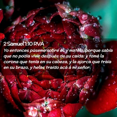 Picture 02 - 2 Samuel 1:10 RVA - Yo entonces púseme sobre él, y matélo, porque - Bible Verse Picture