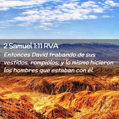 Picture 02 - 2 Samuel 1:11 RVA - Entonces David trabando de sus vestidos, - Bible Verse Picture
