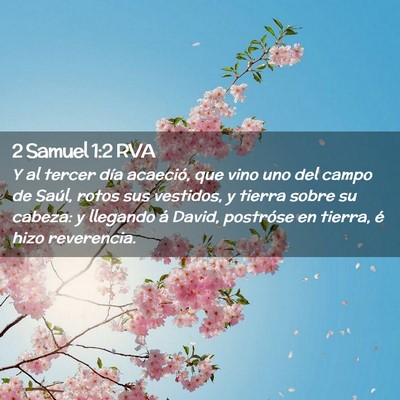 Picture 02 - 2 Samuel 1:2 RVA - Y al tercer día acaeció, que vino uno del campo - Bible Verse Picture