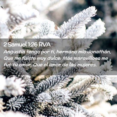 Picture 02 - 2 Samuel 1:26 RVA - Angustia tengo por ti, hermano mío Jonathán, - Bible Verse Picture