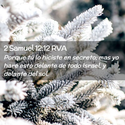 Picture 02 - 2 Samuel 12:12 RVA - Porque tú lo hiciste en secreto; mas yo haré - Bible Verse Picture