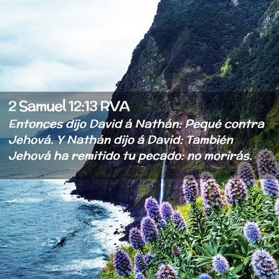 Picture 02 - 2 Samuel 12:13 RVA - Entonces dijo David á Nathán: Pequé contra - Bible Verse Picture
