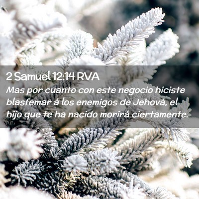 Picture 02 - 2 Samuel 12:14 RVA - Mas por cuanto con este negocio hiciste blasfemar - Bible Verse Picture