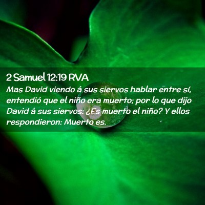Picture 02 - 2 Samuel 12:19 RVA - Mas David viendo á sus siervos hablar entre sí, - Bible Verse Picture