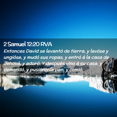Picture 02 - 2 Samuel 12:20 RVA - Entonces David se levantó de tierra, y lavóse y - Bible Verse Picture