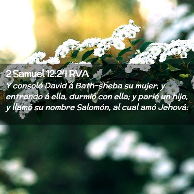 Picture 02 - 2 Samuel 12:24 RVA - Y consoló David á Bath-sheba su mujer, y - Bible Verse Picture