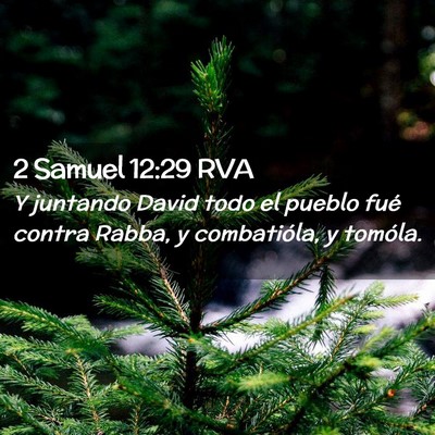 Picture 02 - 2 Samuel 12:29 RVA - Y juntando David todo el pueblo fué contra - Bible Verse Picture