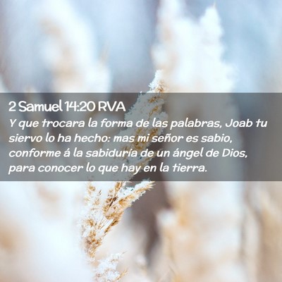 Picture 02 - 2 Samuel 14:20 RVA - Y que trocara la forma de las palabras, Joab tu - Bible Verse Picture
