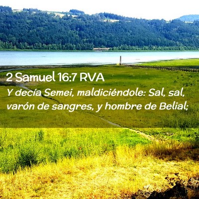 Picture 02 - 2 Samuel 16:7 RVA - Y decía Semei, maldiciéndole: Sal, sal, varón - Bible Verse Picture