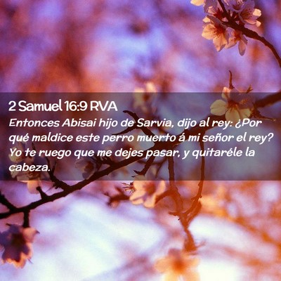 Picture 02 - 2 Samuel 16:9 RVA - Entonces Abisai hijo de Sarvia, dijo al rey: - Bible Verse Picture
