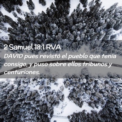 Picture 02 - 2 Samuel 18:1 RVA - DAVID pues revistó el pueblo que tenía consigo, - Bible Verse Picture