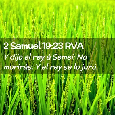 Picture 02 - 2 Samuel 19:23 RVA - Y dijo el rey á Semei: No morirás. Y el rey se - Bible Verse Picture