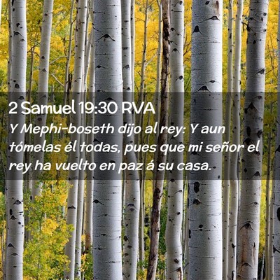 Picture 02 - 2 Samuel 19:30 RVA - Y Mephi-boseth dijo al rey: Y aun tómelas él - Bible Verse Picture