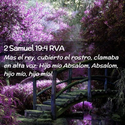 Picture 02 - 2 Samuel 19:4 RVA - Mas el rey, cubierto el rostro, clamaba en alta - Bible Verse Picture