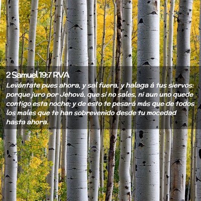 Picture 02 - 2 Samuel 19:7 RVA - Levántate pues ahora, y sal fuera, y halaga á - Bible Verse Picture