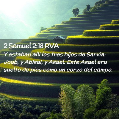 Picture 02 - 2 Samuel 2:18 RVA - Y estaban allí los tres hijos de Sarvia: Joab, y - Bible Verse Picture
