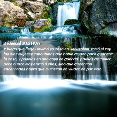 Picture 02 - 2 Samuel 20:3 RVA - Y luego que llegó David á su casa en Jerusalem, - Bible Verse Picture