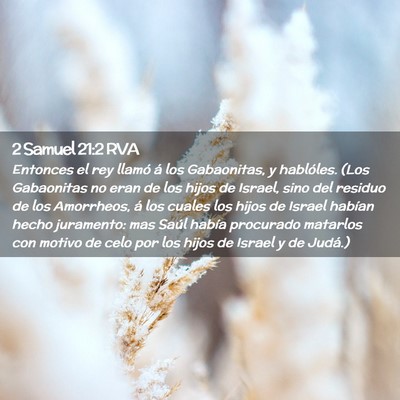 Picture 02 - 2 Samuel 21:2 RVA - Entonces el rey llamó á los Gabaonitas, y - Bible Verse Picture
