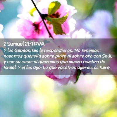 Picture 02 - 2 Samuel 21:4 RVA - Y los Gabaonitas le respondieron: No tenemos - Bible Verse Picture