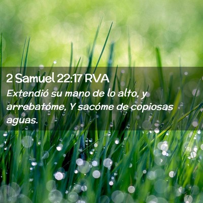 Picture 02 - 2 Samuel 22:17 RVA - Extendió su mano de lo alto, y arrebatóme, Y - Bible Verse Picture