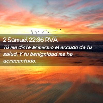 Picture 02 - 2 Samuel 22:36 RVA - Tú me diste asimismo el escudo de tu salud, Y tu - Bible Verse Picture