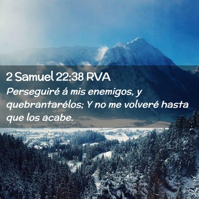 Picture 02 - 2 Samuel 22:38 RVA - Perseguiré á mis enemigos, y quebrantarélos; Y - Bible Verse Picture