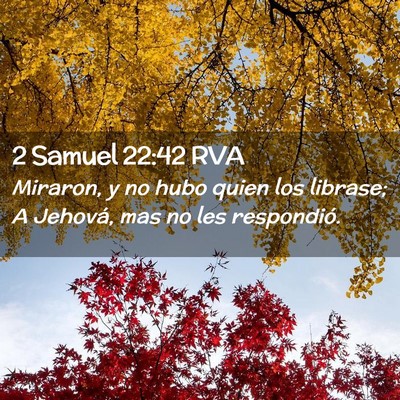 Picture 02 - 2 Samuel 22:42 RVA - Miraron, y no hubo quien los librase; A Jehová, - Bible Verse Picture