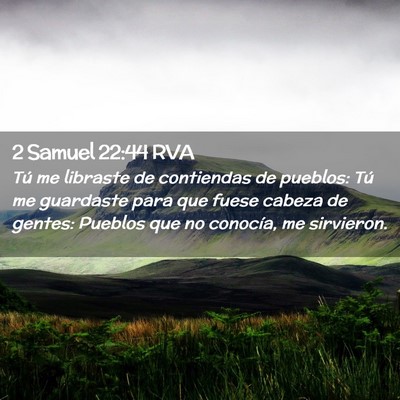 Picture 02 - 2 Samuel 22:44 RVA - Tú me libraste de contiendas de pueblos: Tú me - Bible Verse Picture