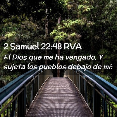 Picture 02 - 2 Samuel 22:48 RVA - El Dios que me ha vengado, Y sujeta los pueblos - Bible Verse Picture