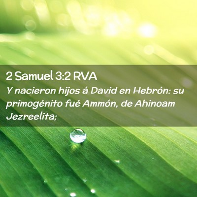 Picture 02 - 2 Samuel 3:2 RVA - Y nacieron hijos á David en Hebrón: su - Bible Verse Picture