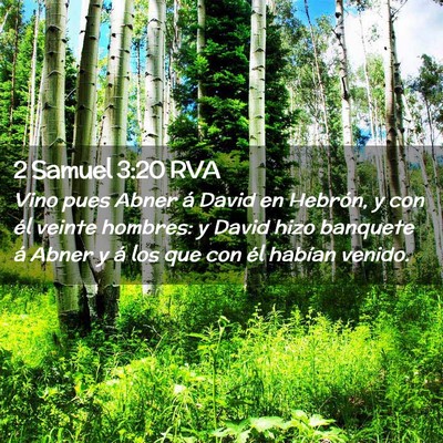 Picture 02 - 2 Samuel 3:20 RVA - Vino pues Abner á David en Hebrón, y con él - Bible Verse Picture