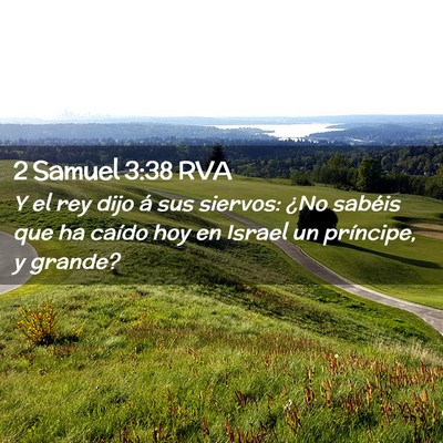 Picture 02 - 2 Samuel 3:38 RVA - Y el rey dijo á sus siervos: ¿No sabéis que ha - Bible Verse Picture