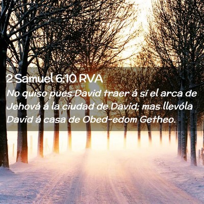 Picture 02 - 2 Samuel 6:10 RVA - No quiso pues David traer á sí el arca de - Bible Verse Picture