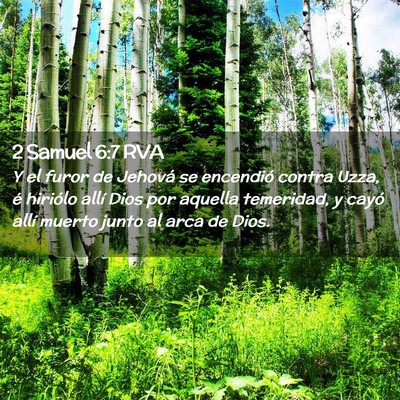 Picture 02 - 2 Samuel 6:7 RVA - Y el furor de Jehová se encendió contra Uzza, - Bible Verse Picture