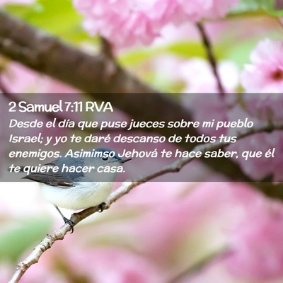 Picture 02 - 2 Samuel 7:11 RVA - Desde el día que puse jueces sobre mi pueblo - Bible Verse Picture