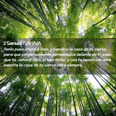 Picture 02 - 2 Samuel 7:29 RVA - Tenlo pues ahora á bien, y bendice la casa de tu - Bible Verse Picture