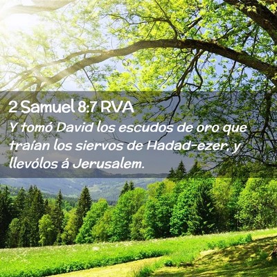 Picture 02 - 2 Samuel 8:7 RVA - Y tomó David los escudos de oro que traían los - Bible Verse Picture