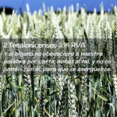 Picture 02 - 2 Tesalonicenses 3:14 RVA - Y si alguno no obedeciere á nuestra palabra por - Bible Verse Picture