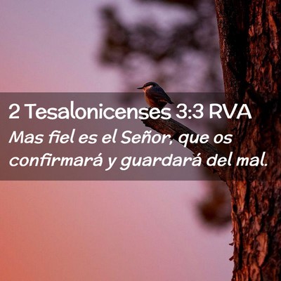 Picture 02 - 2 Tesalonicenses 3:3 RVA - Mas fiel es el Señor, que os confirmará y - Bible Verse Picture
