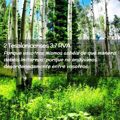 Picture 02 - 2 Tesalonicenses 3:7 RVA - Porque vosotros mismos sabéis de qué manera - Bible Verse Picture