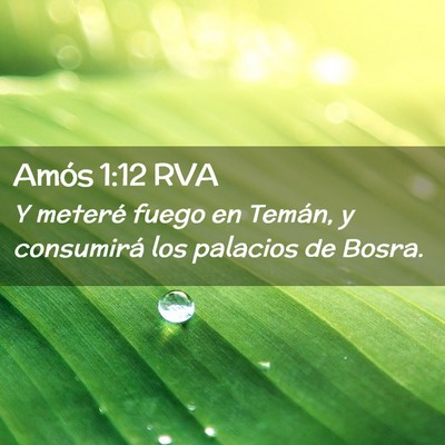 Picture 02 - Amós 1:12 RVA - Y meteré fuego en Temán, y consumirá los - Bible Verse Picture