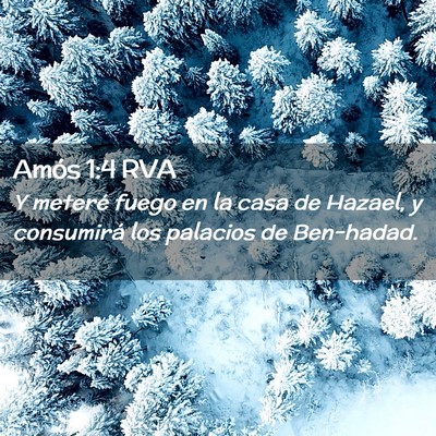 Picture 02 - Amós 1:4 RVA - Y meteré fuego en la casa de Hazael, y - Bible Verse Picture